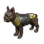 Dominion Breton Terrier